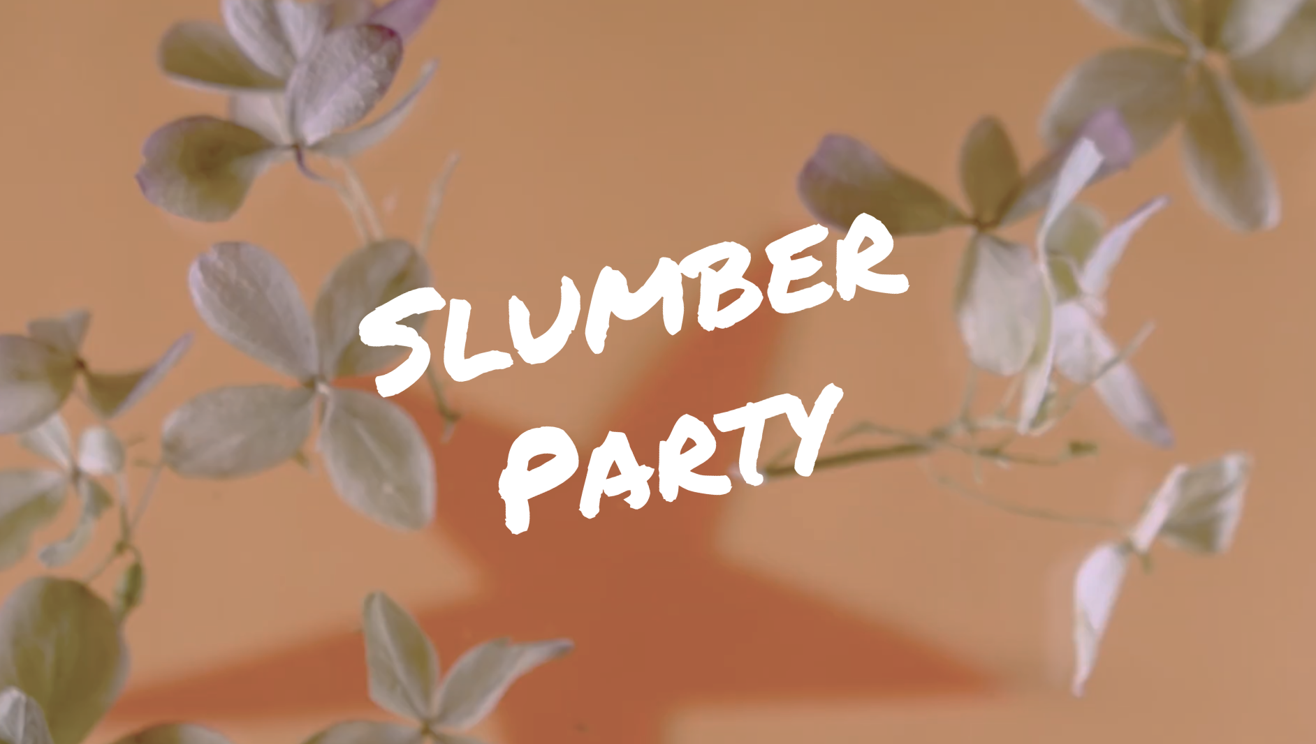 SlumberParty1.png