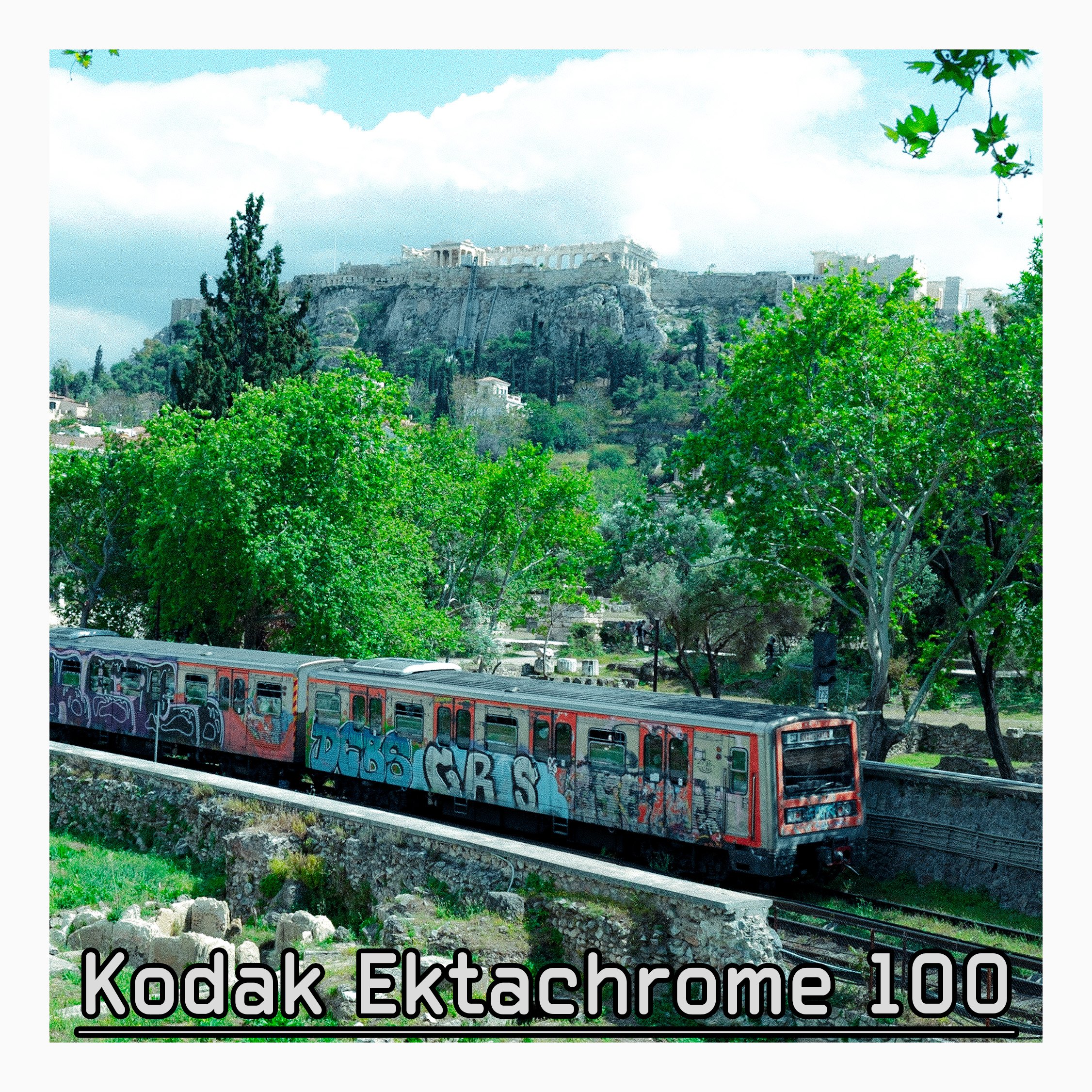 C5F02761-F06E-4E0D-8FF7-85850A995267.jpeg