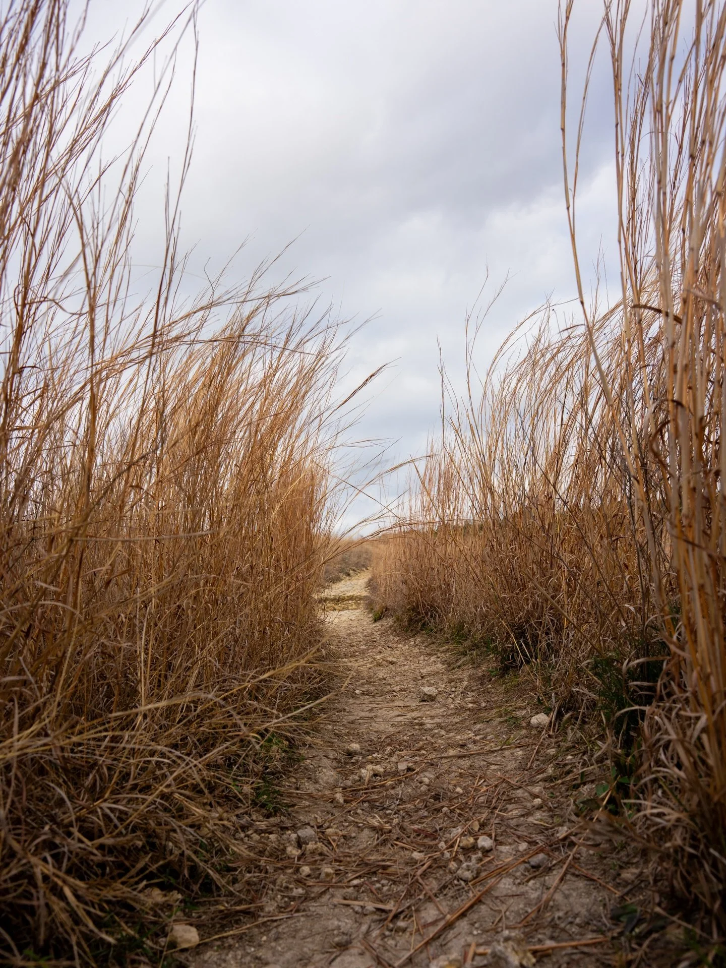 Doeskin Ranch: Landscape