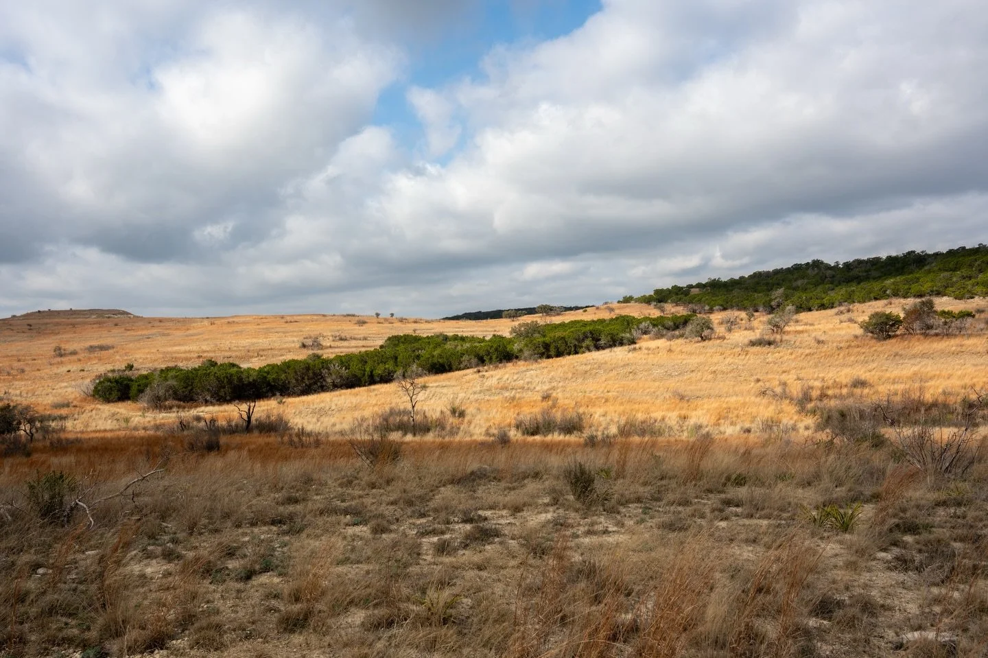 Doeskin Ranch: Landscape