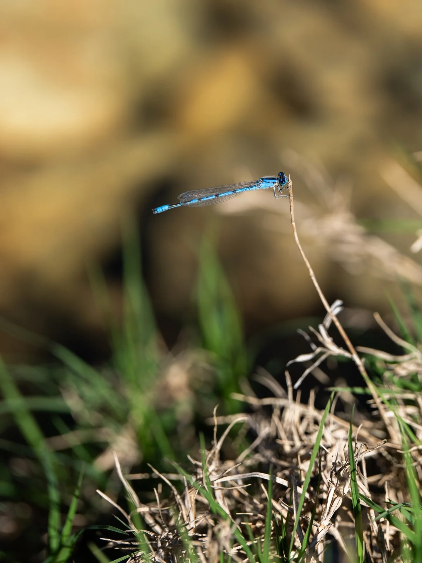 Colored Bend State Park