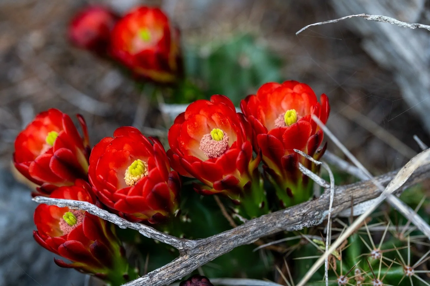 Colored Bend State Park