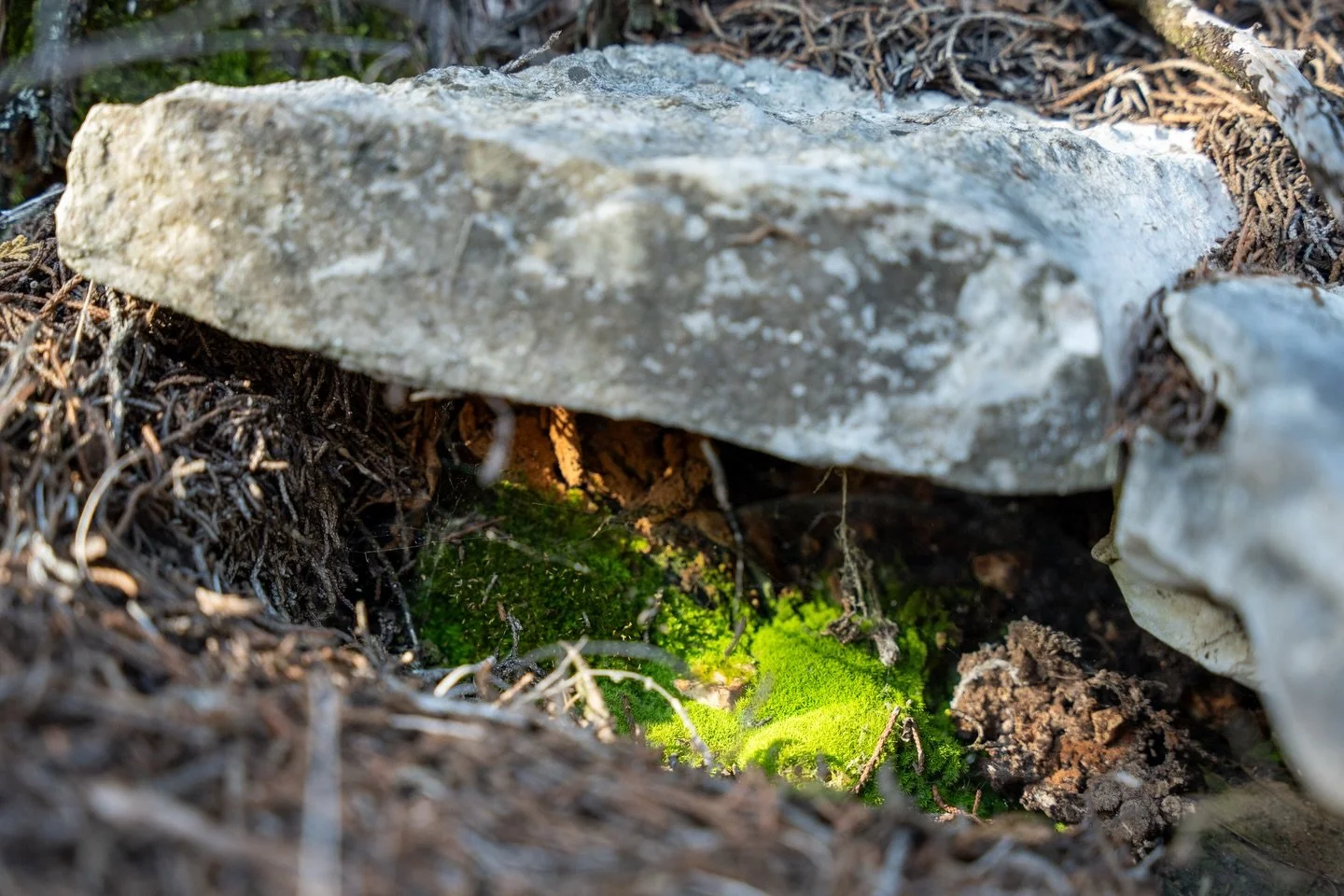 Colored Bend State Park