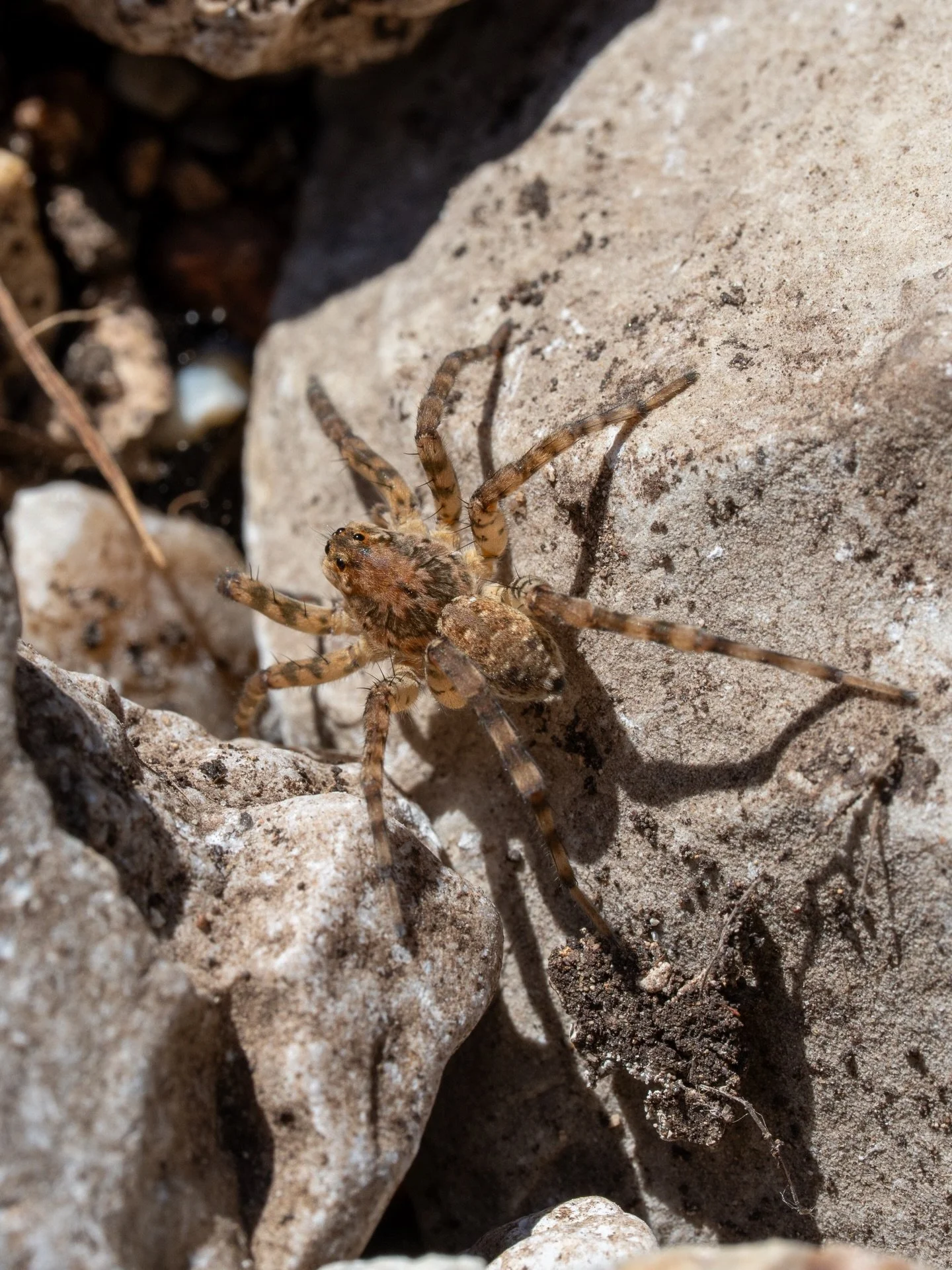 Colored Bend State Park