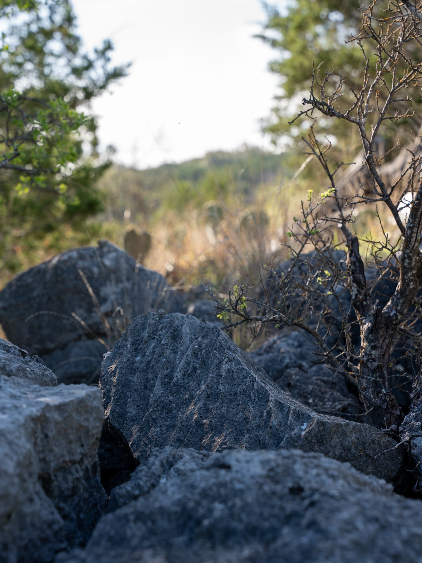 Colored Bend State Park