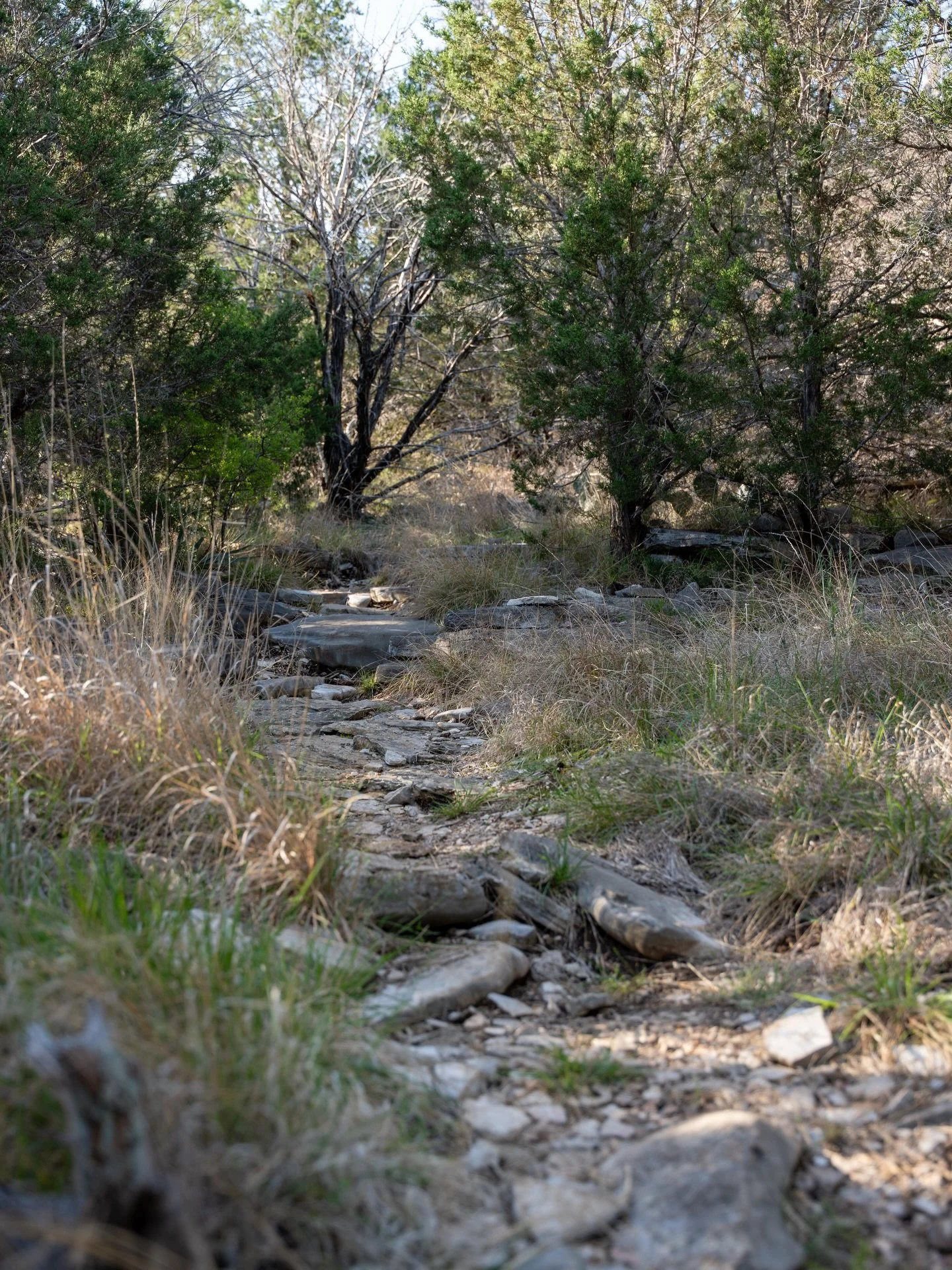 Colored Bend State Park