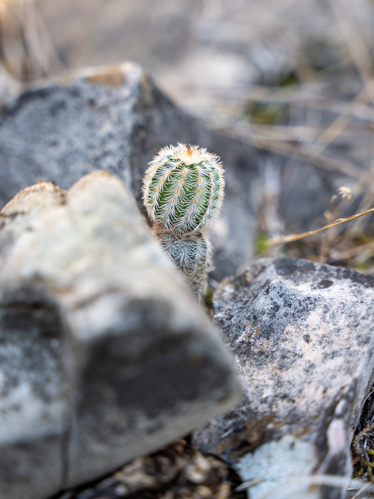 Colored Bend State Park