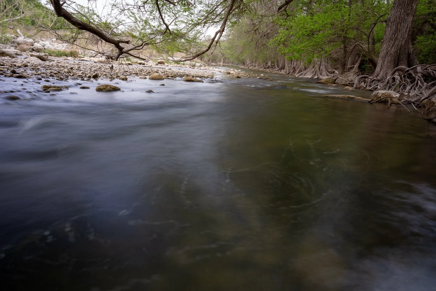 Guadalupe River Park: River