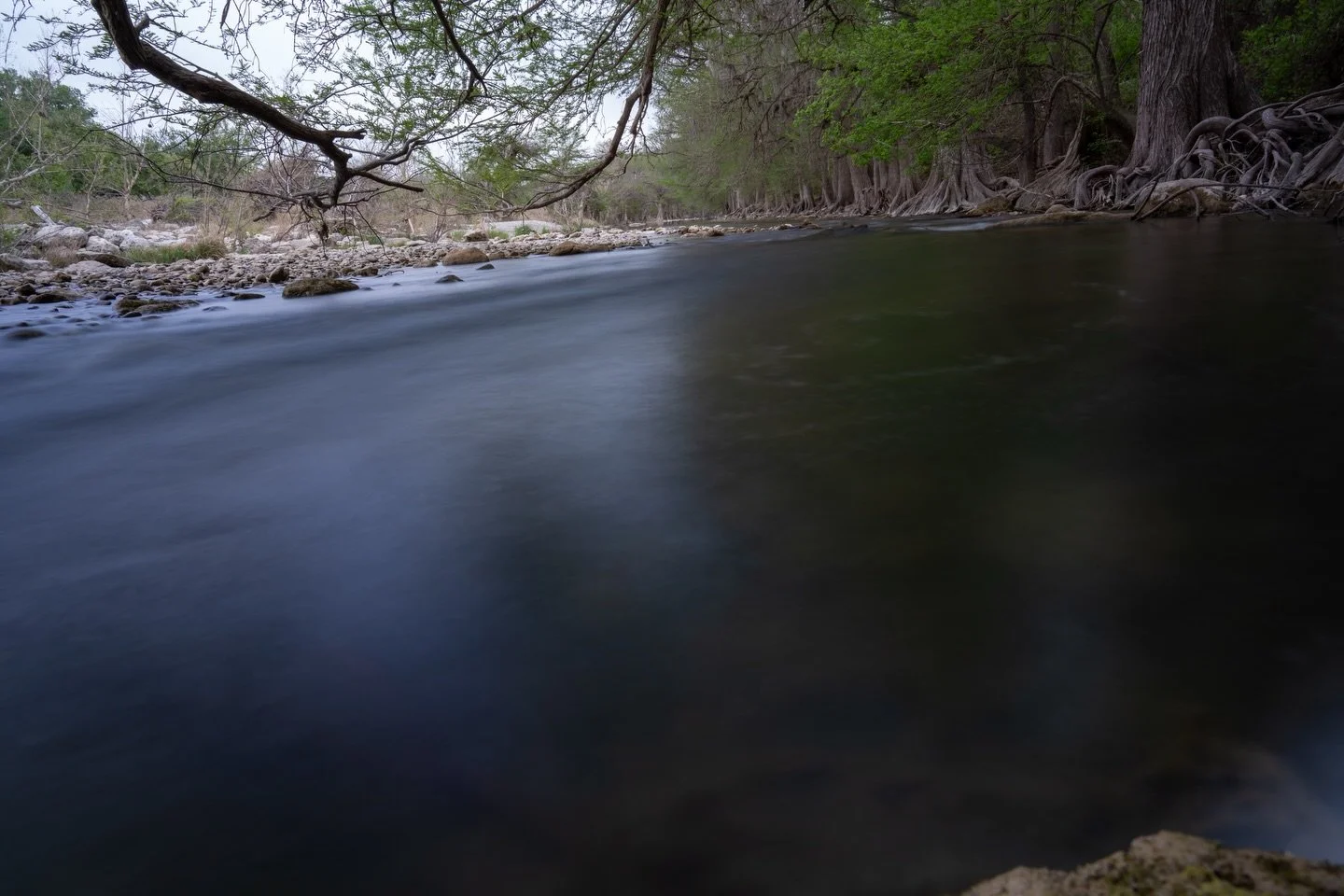 Guadalupe River Park: River