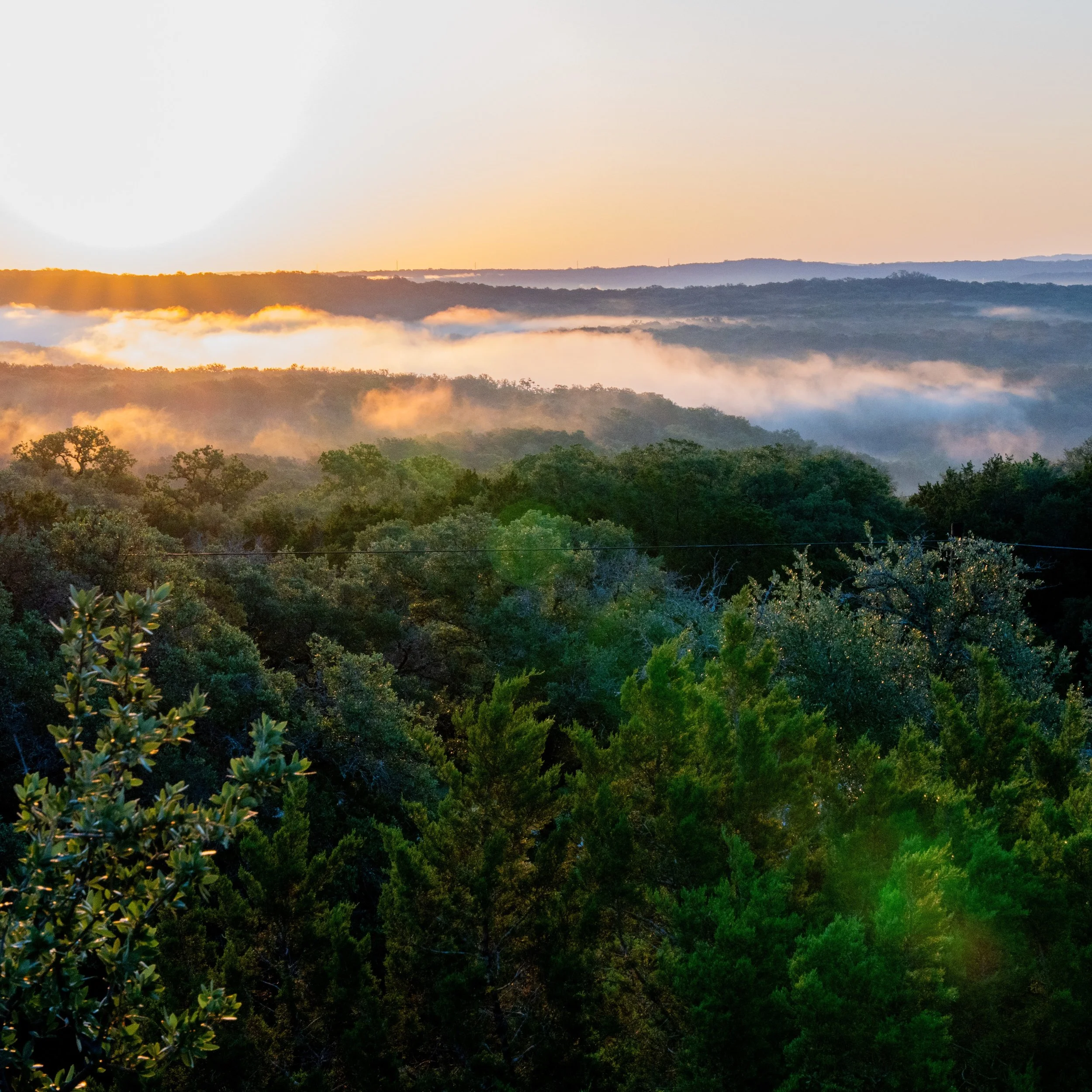 Pedernales Falls State Park