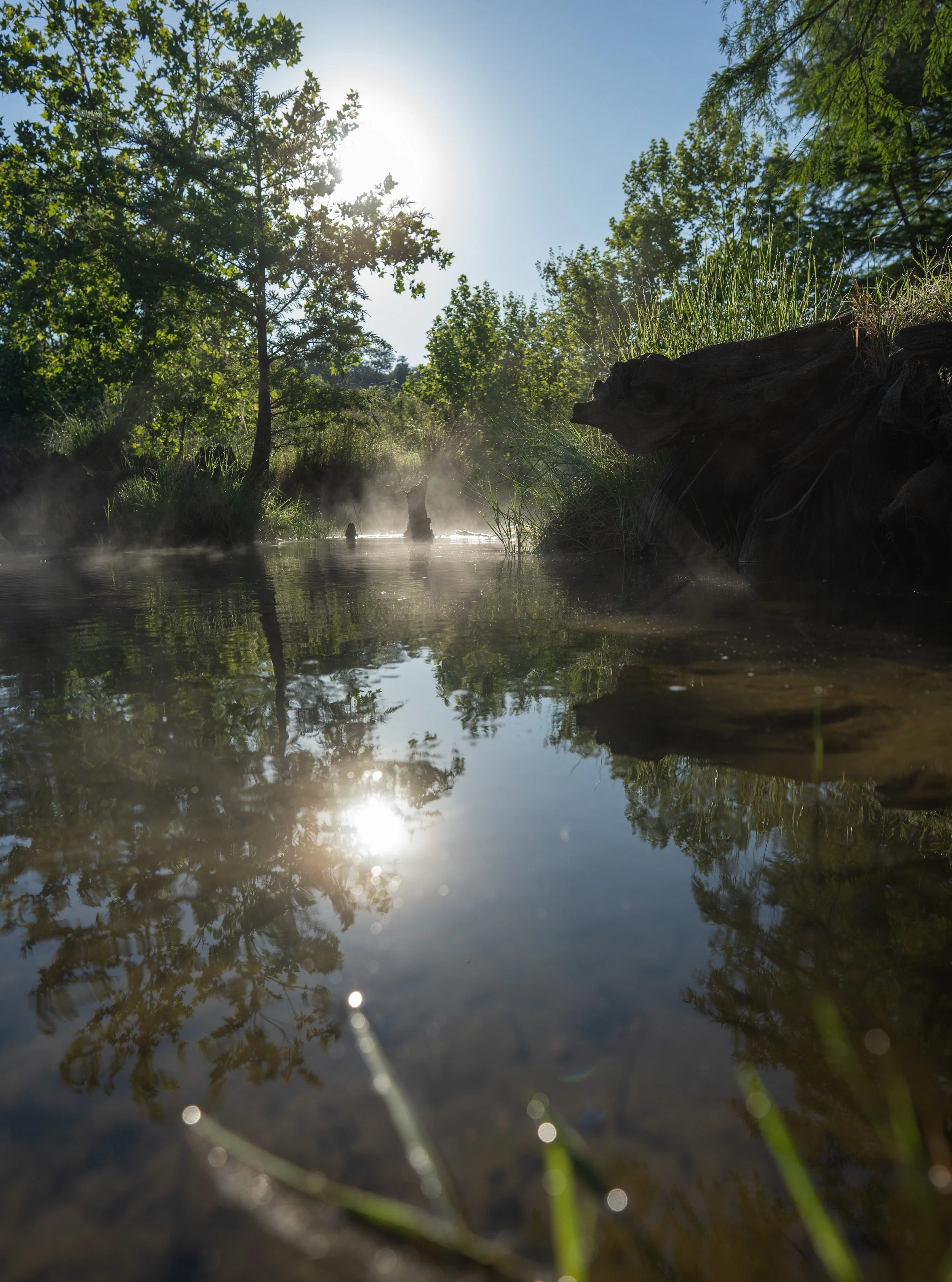 Pedernales Falls State Park