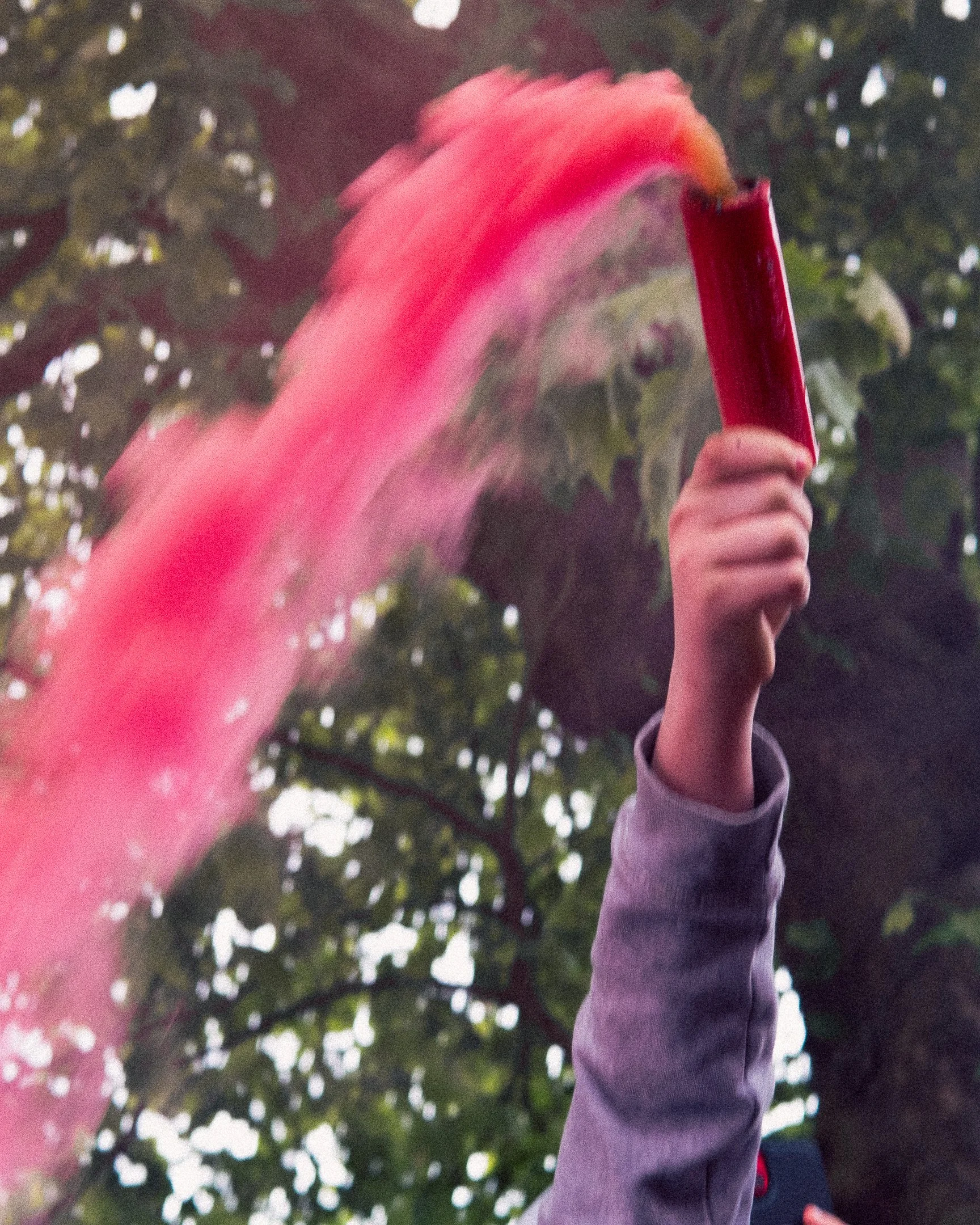 A colour photograph of a young boy's hand holding a light red flare - from the Liverpool FC 2024/25 title parade.