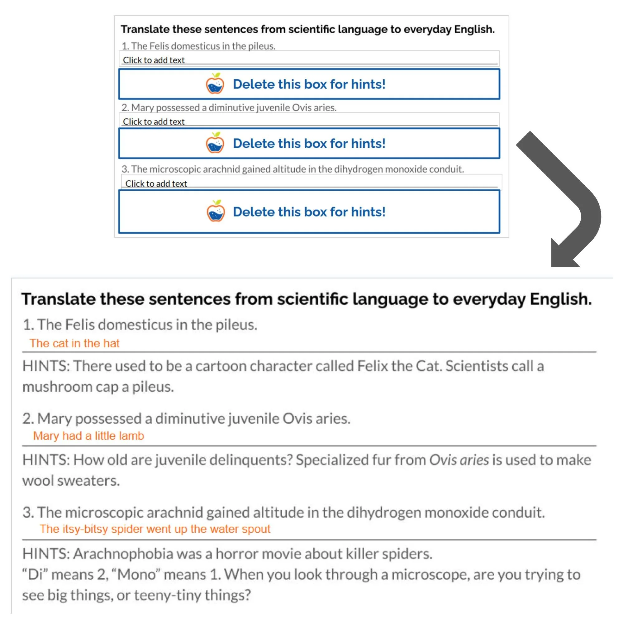 CORRECT Lesson Icons (65).jpg