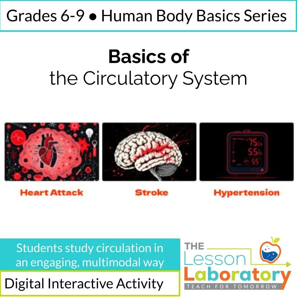 Circulatory System Lesson – Interactive Digital Slides on Heart, Blood & Blood Vessels