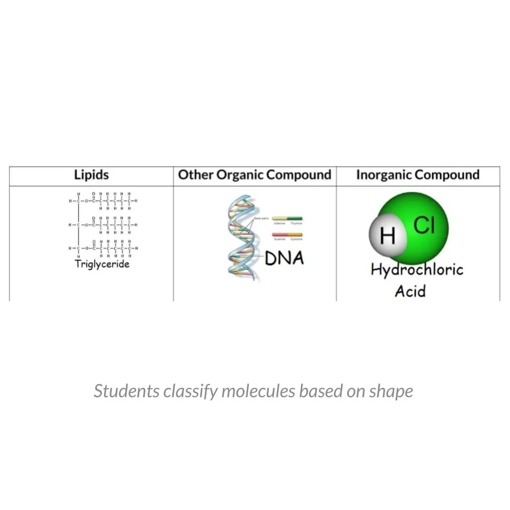 MS_HS Lesson Icons (1).jpg