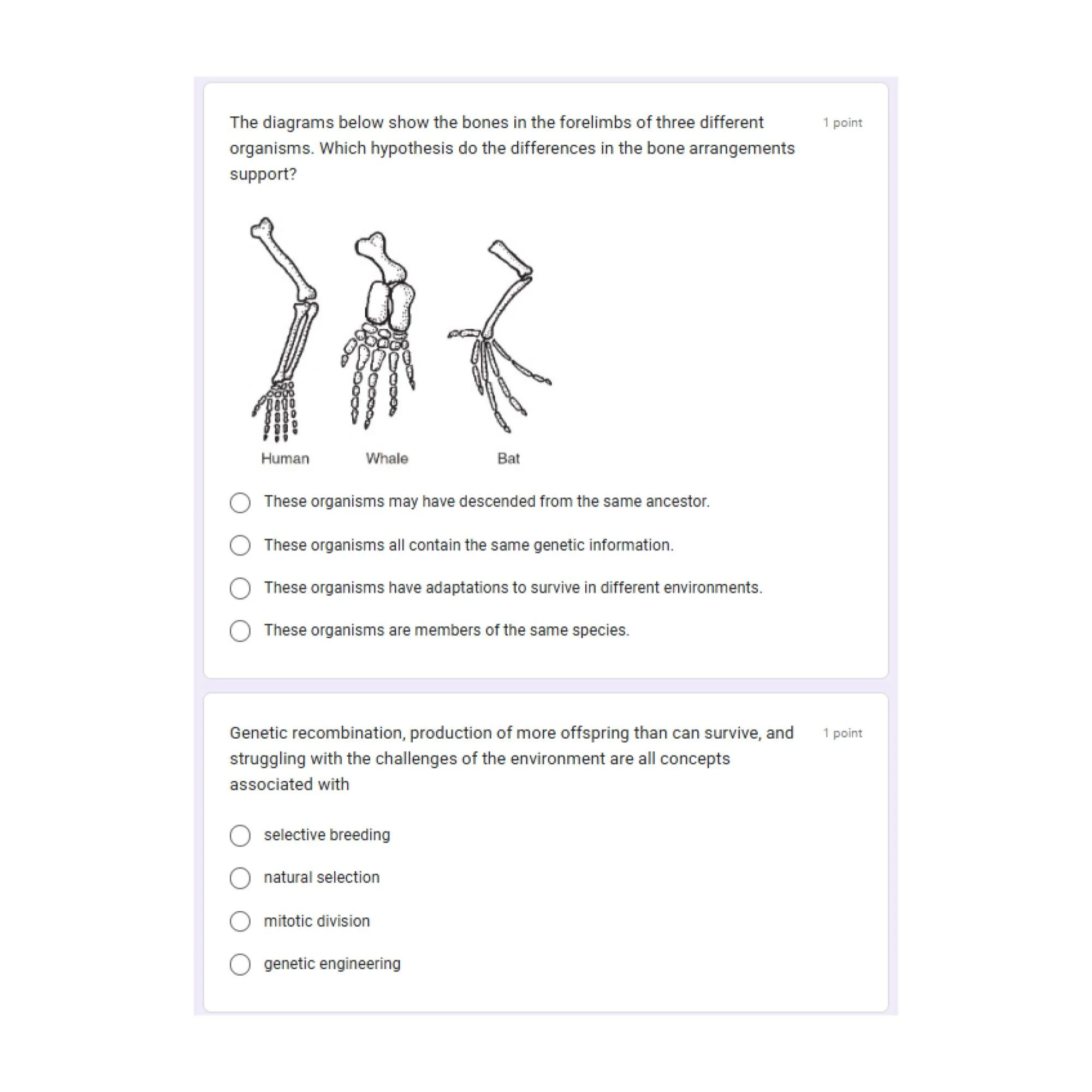 CORRECT Lesson Icons (7).jpg
