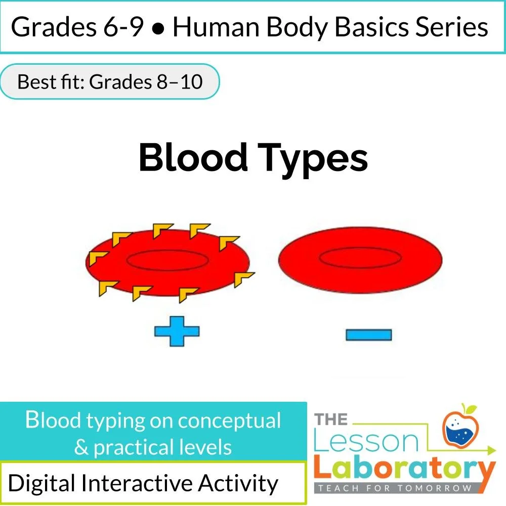 Blood Types & Blood Typing Activity | ABO & Rh Factor Interactive Digital Lesson