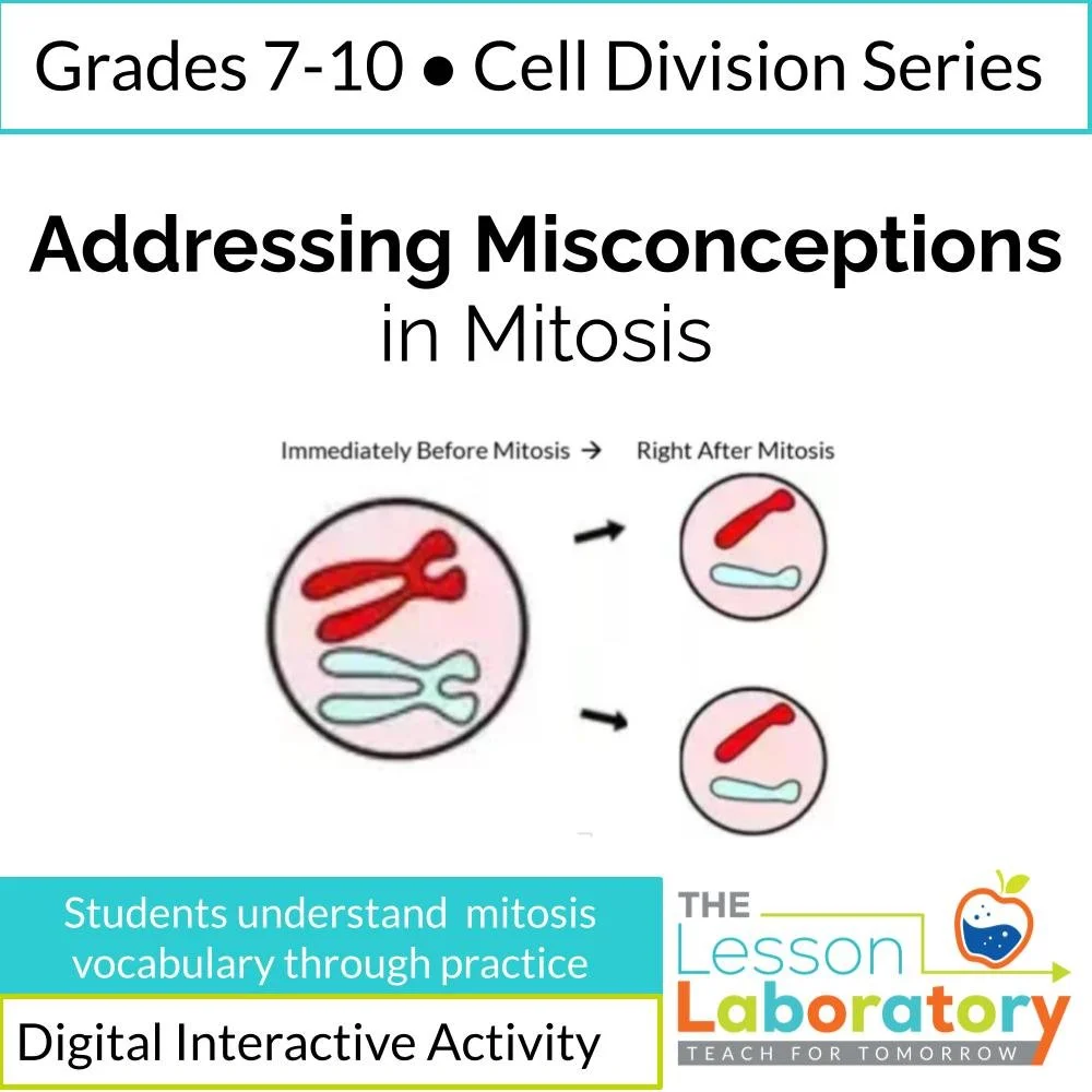 New Lesson Icons in Process.jpg