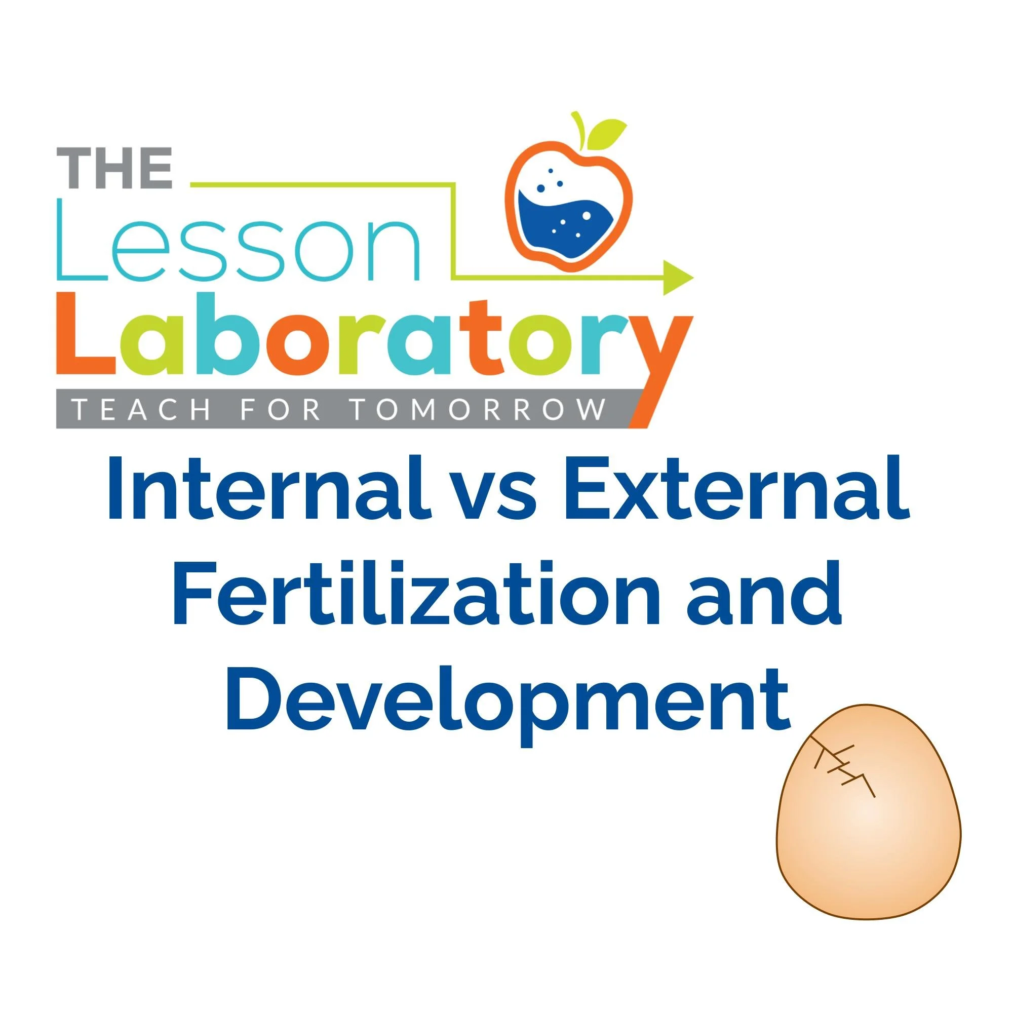 CORRECT Lesson Icons.jpg