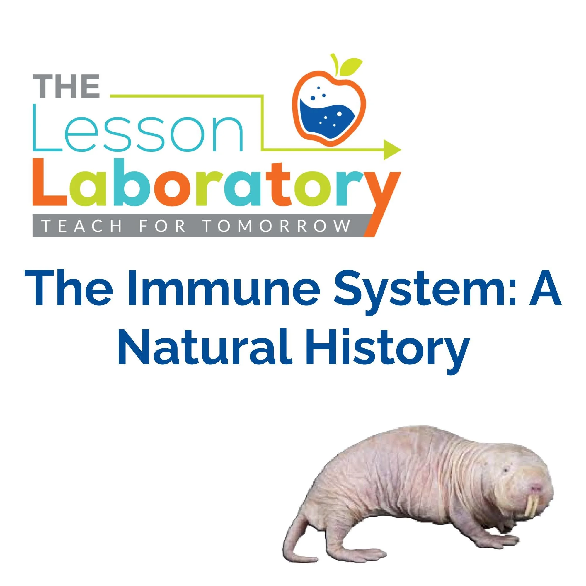 CORRECT Lesson Icons.jpg