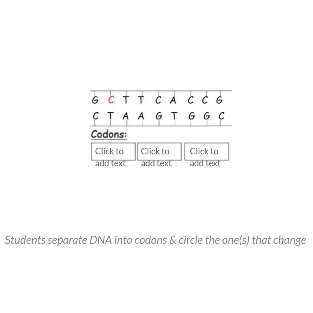 New Lesson Icons in Process (1).jpg