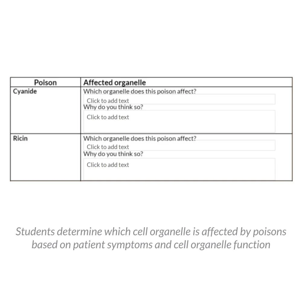 New Lesson Icons in Process (1).jpg