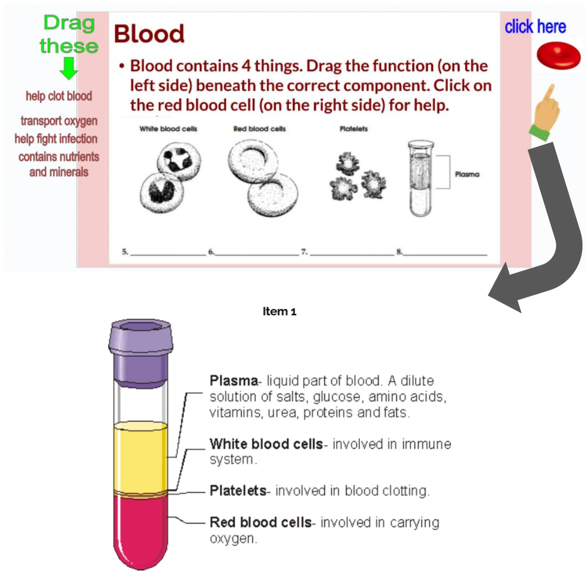 CORRECT Lesson Icons (2).jpg