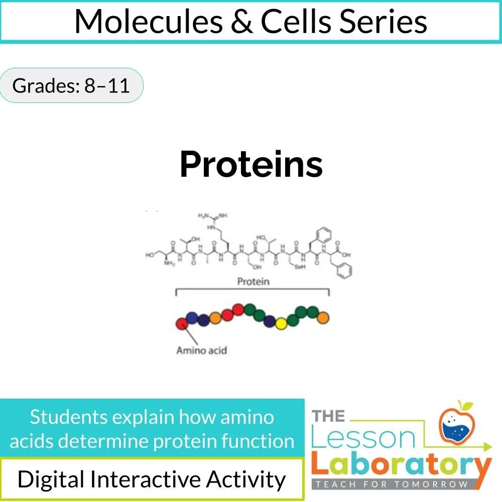 Introduction to Proteins: Structure, Amino Acids, and Function