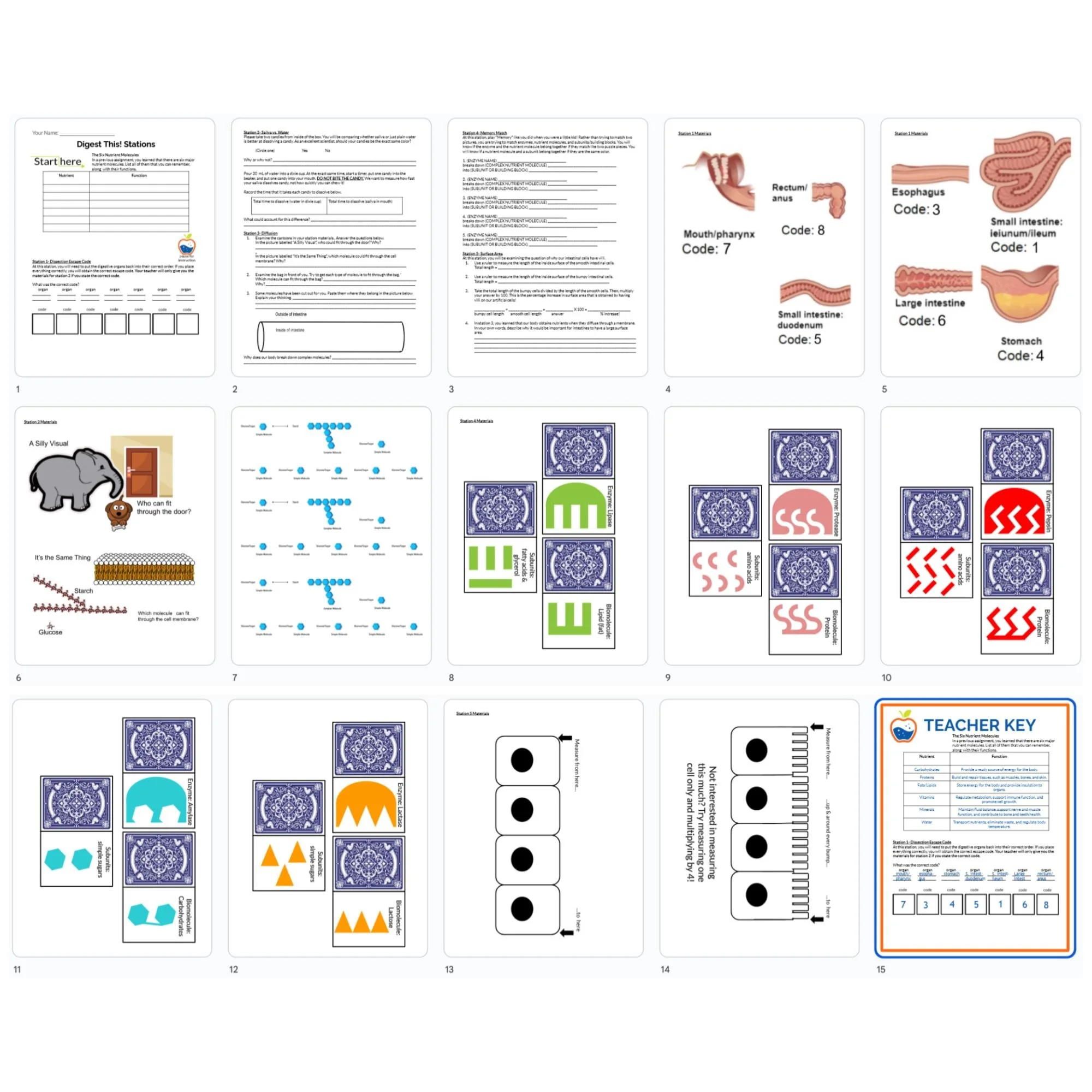 CORRECT Lesson Icons (1).jpg