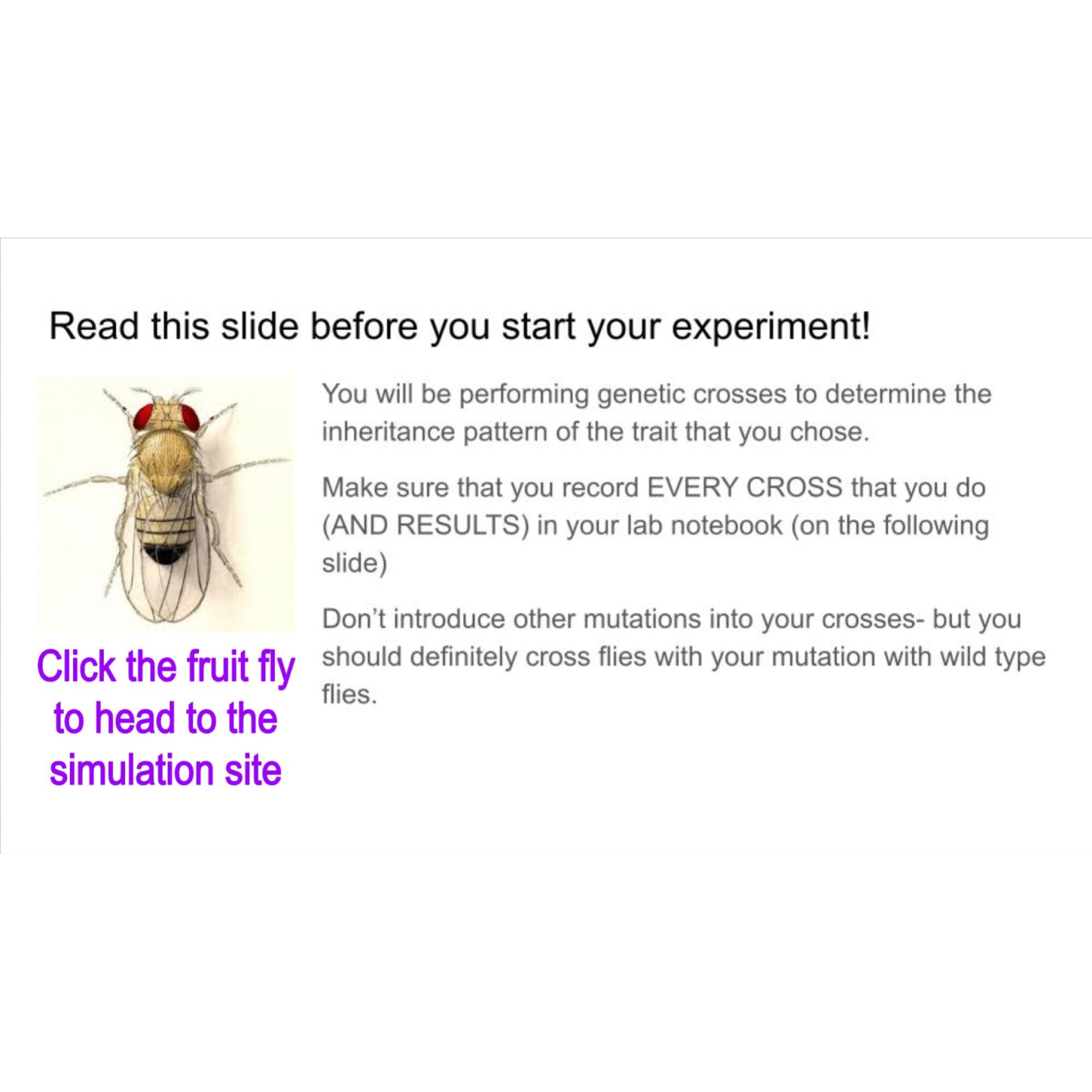 https://i.etsystatic.com/8190037/r/il/1ca3ce/5829652460/il_fullxfull.5829652460_ftqc.jpg