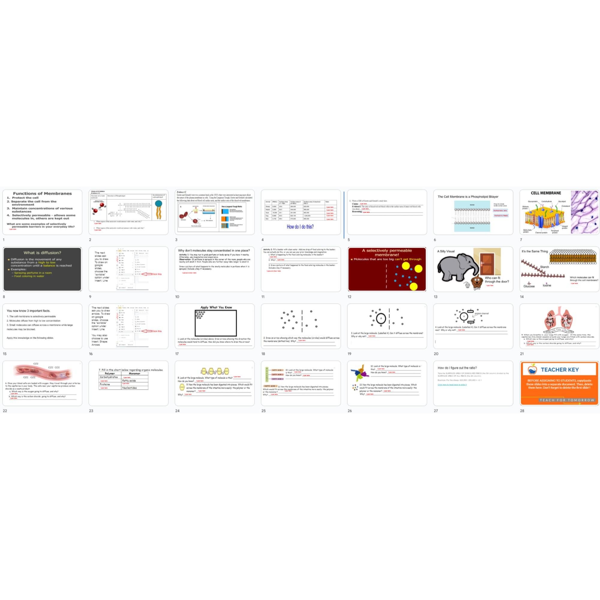 https://i.etsystatic.com/8190037/r/il/0777c5/5873939583/il_fullxfull.5873939583_hzg8.jpg
