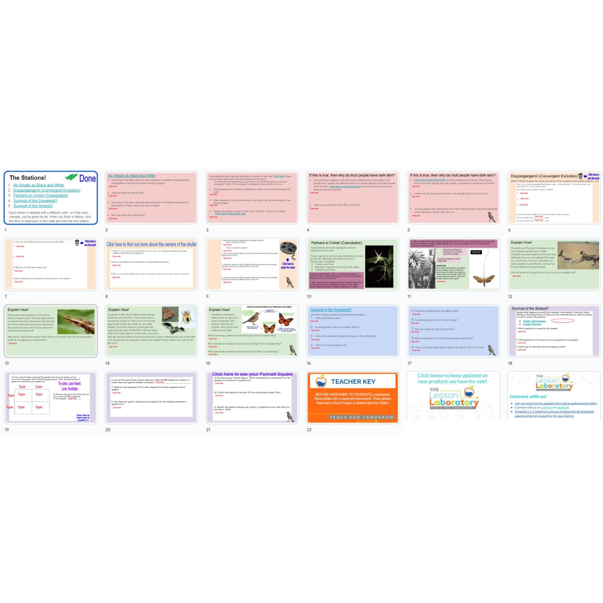 https://i.etsystatic.com/8190037/r/il/f61124/5855931699/il_fullxfull.5855931699_6g7t.jpg
