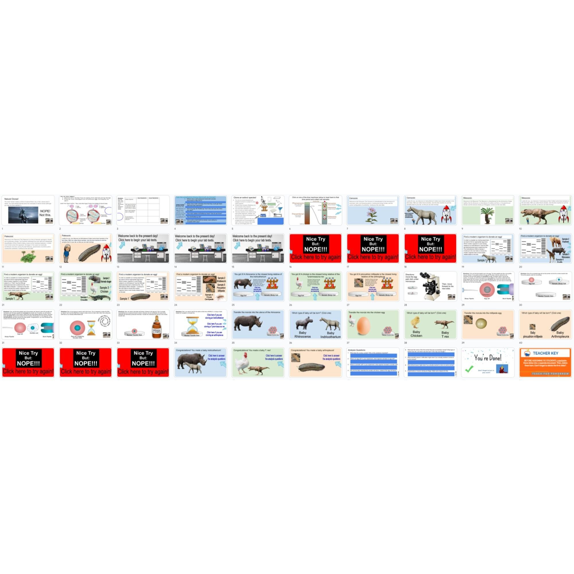 https://i.etsystatic.com/8190037/r/il/dbe67f/5850288133/il_fullxfull.5850288133_a8se.jpg
