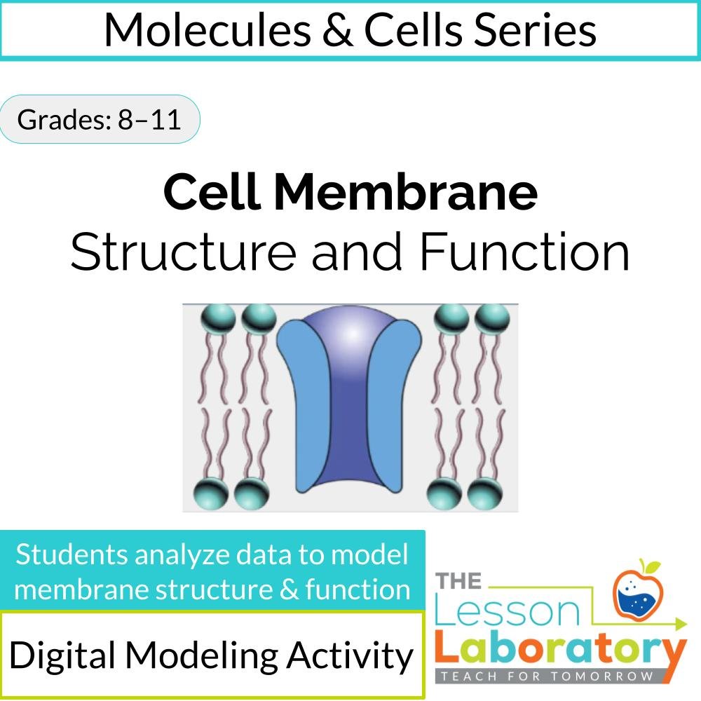 MS_HS Lesson Icons.jpg