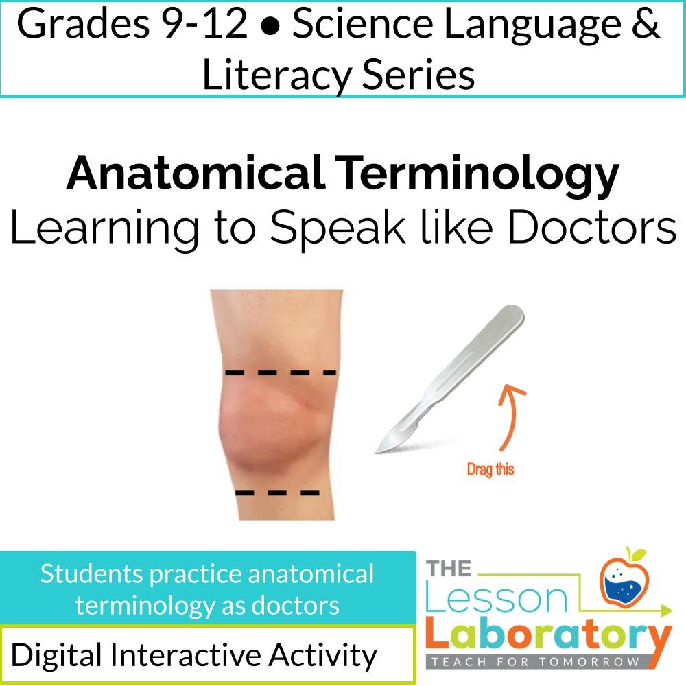 Anatomical Terminology Digital Lab & Escape Room – Relative Position, Body Regions & Doctor Simulation