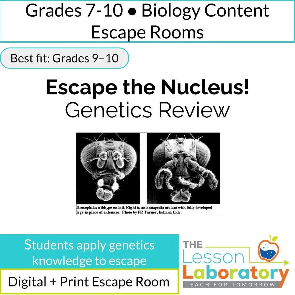 Genetics Escape Room (Biology) | Digital Google Forms Review | Punnett Squares, Pedigrees, Gel Electrophoresis, Mutations