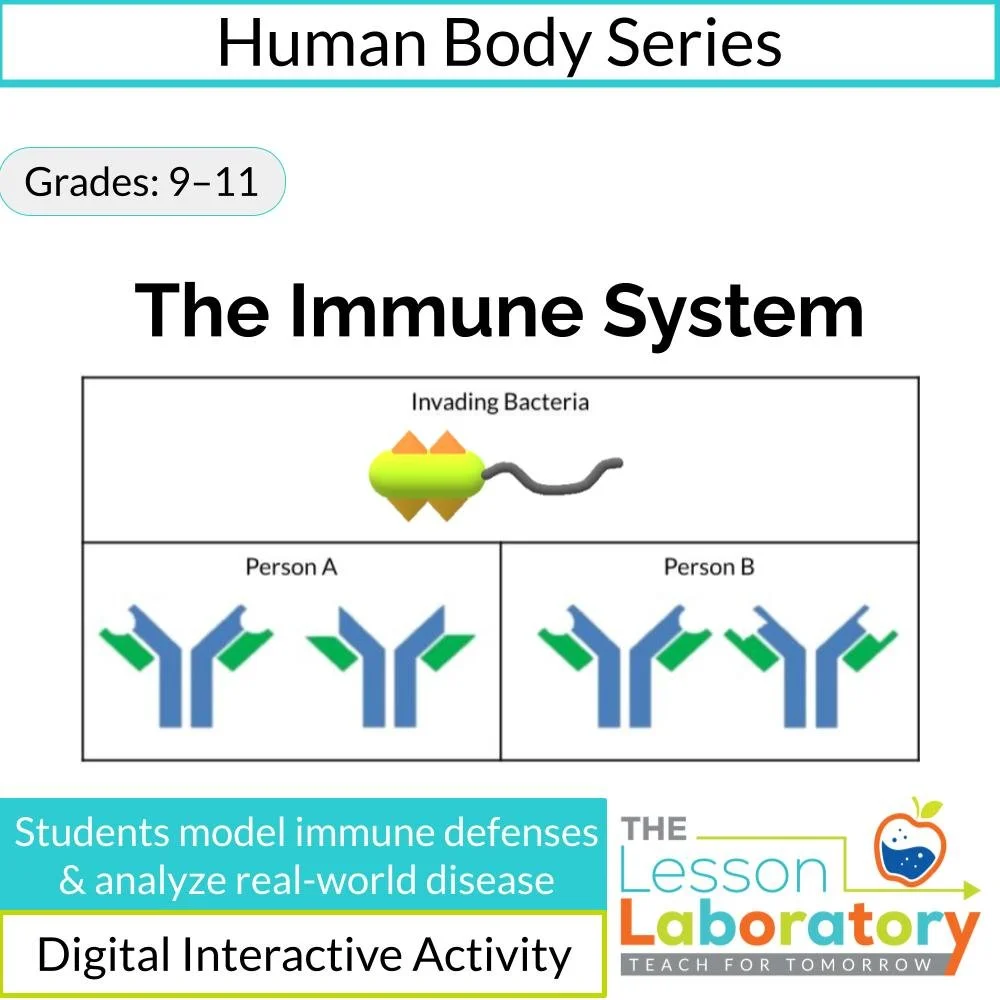 The Immune System: Barriers, Antibodies & Differentiated Media Analysis