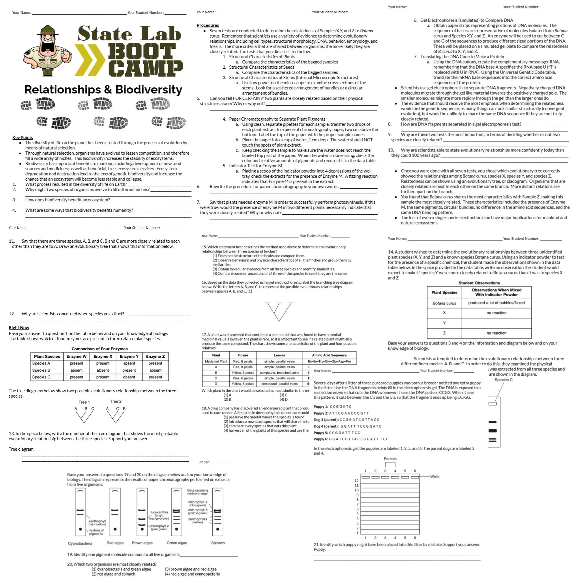 CORRECT Lesson Icons (13).jpg