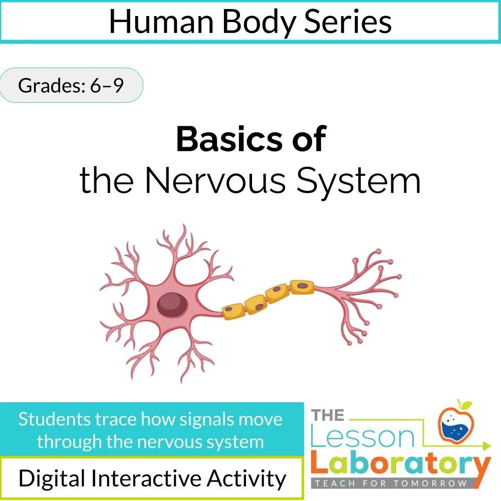 MS_HS Lesson Icons.jpg