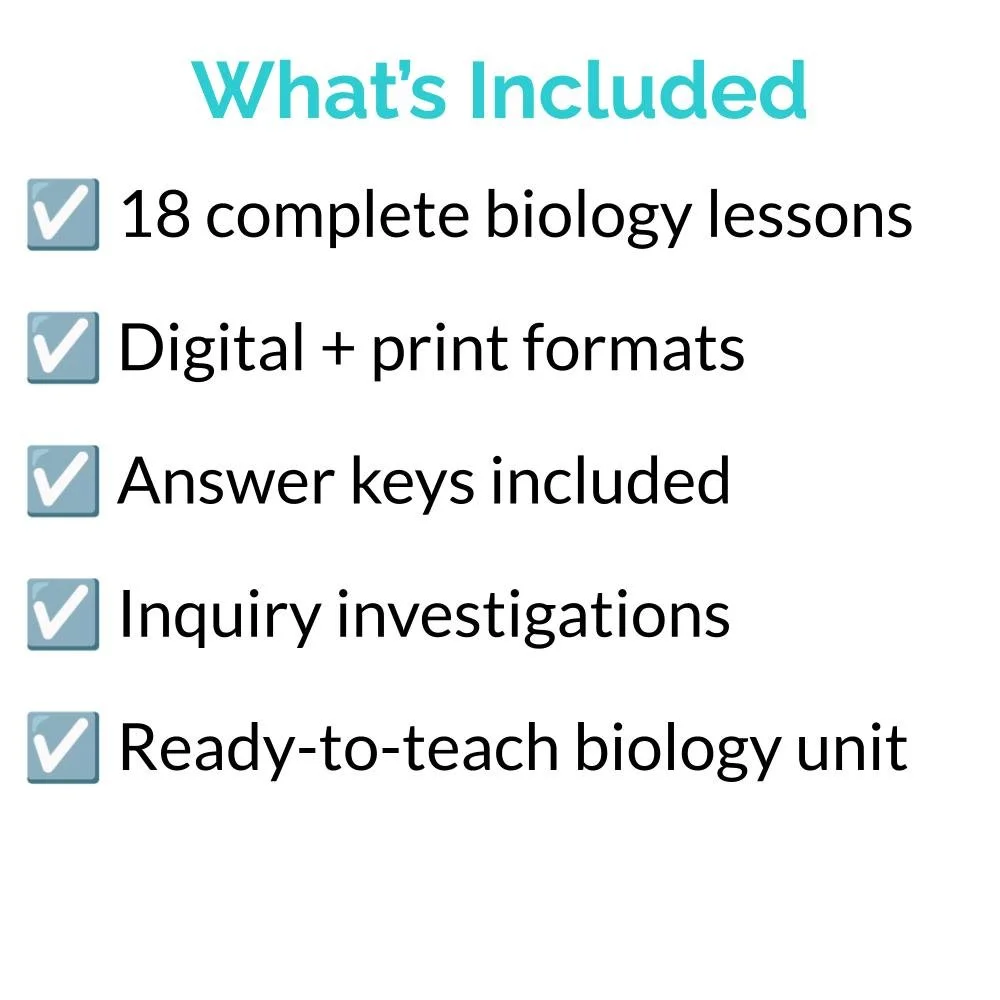 Bundle Icons (2).jpg