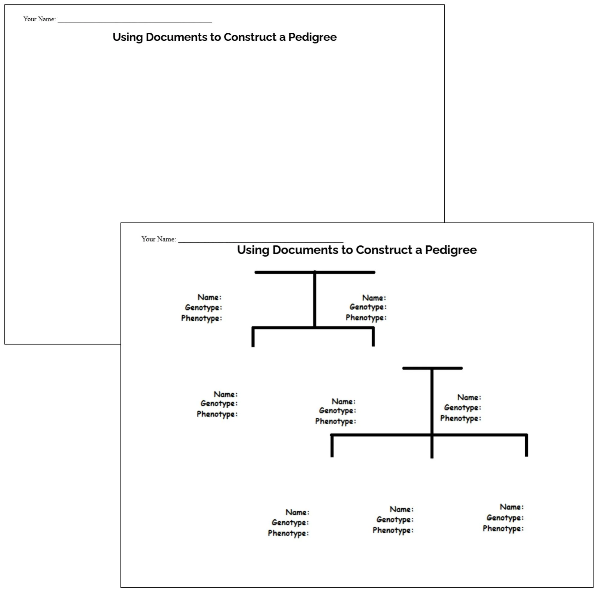 CORRECT Lesson Icons (3).jpg