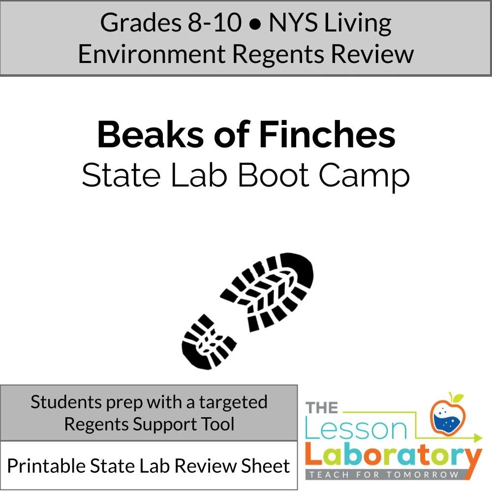 Beaks of Finches State Lab Review | NYS Living Environment Regents Boot Camp