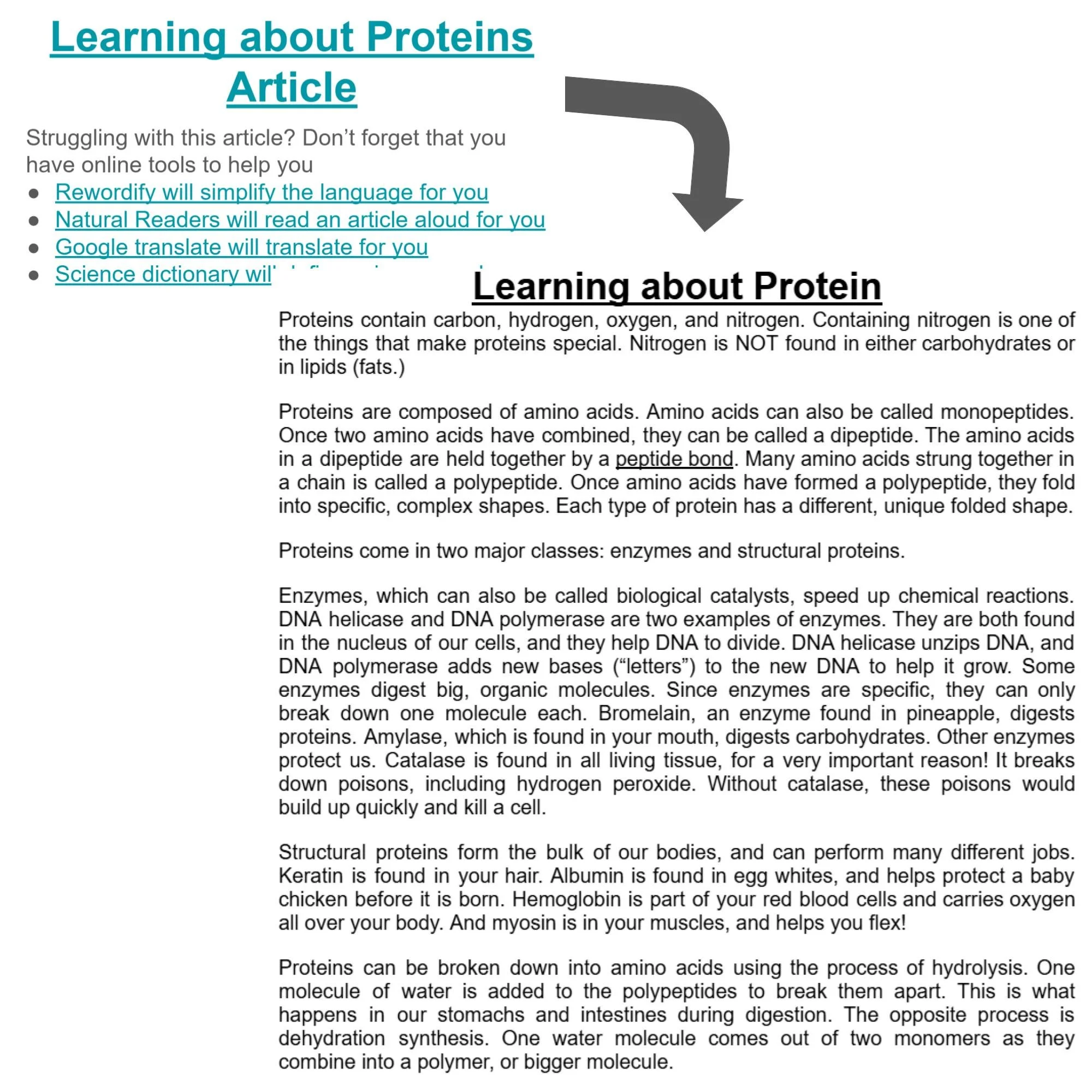 CORRECT Lesson Icons (45).jpg