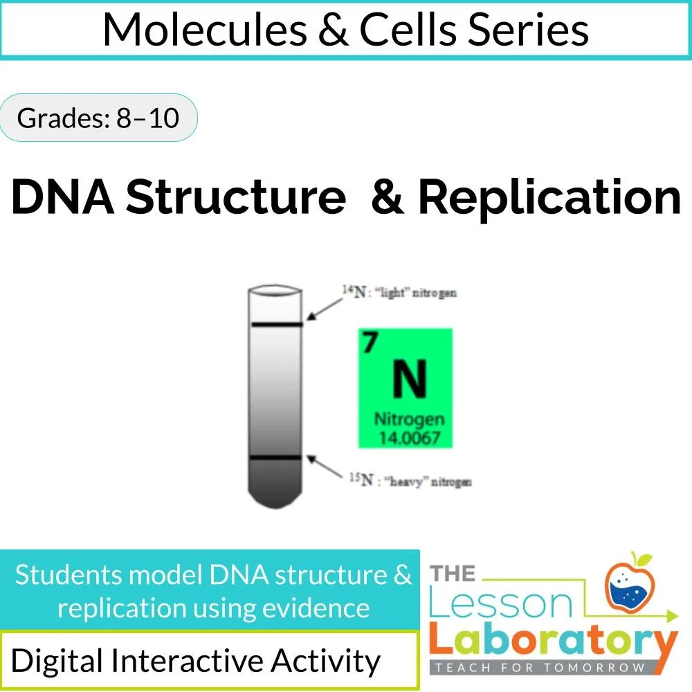 DNA Structure and Replication Digital Lesson | Modeling Base Pairing & Semi-Conservative Replication