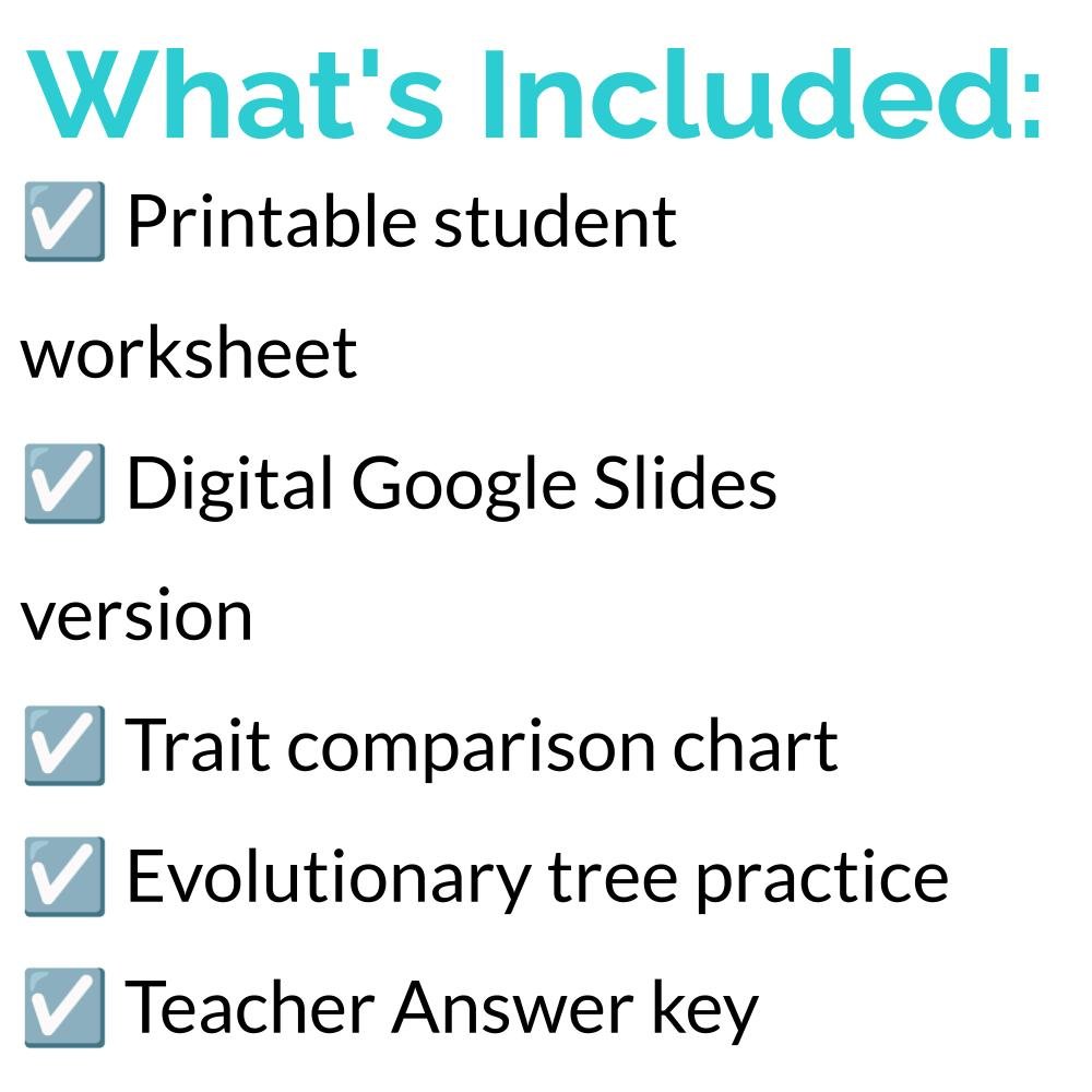 New Lesson Icons (2).jpg