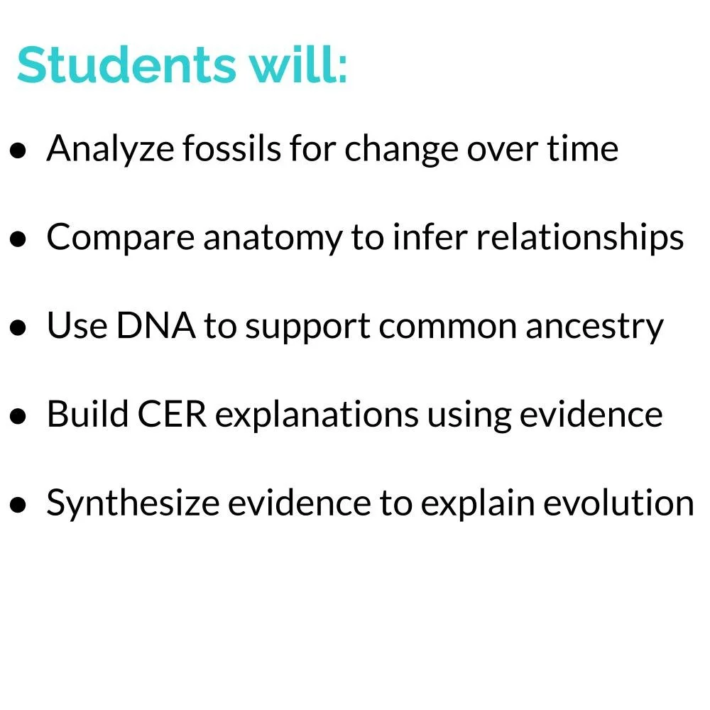 MS_HS Lesson Icons (1).jpg