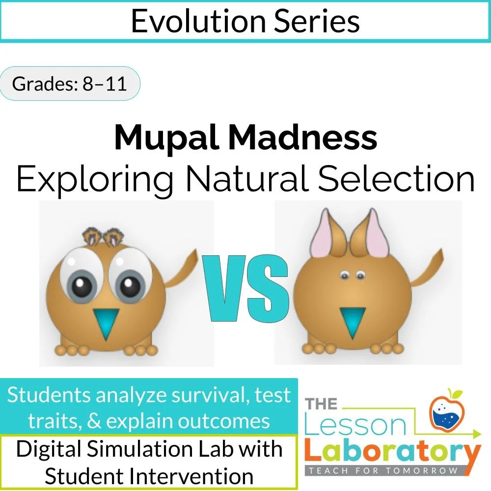 MS_HS Lesson Icons.jpg