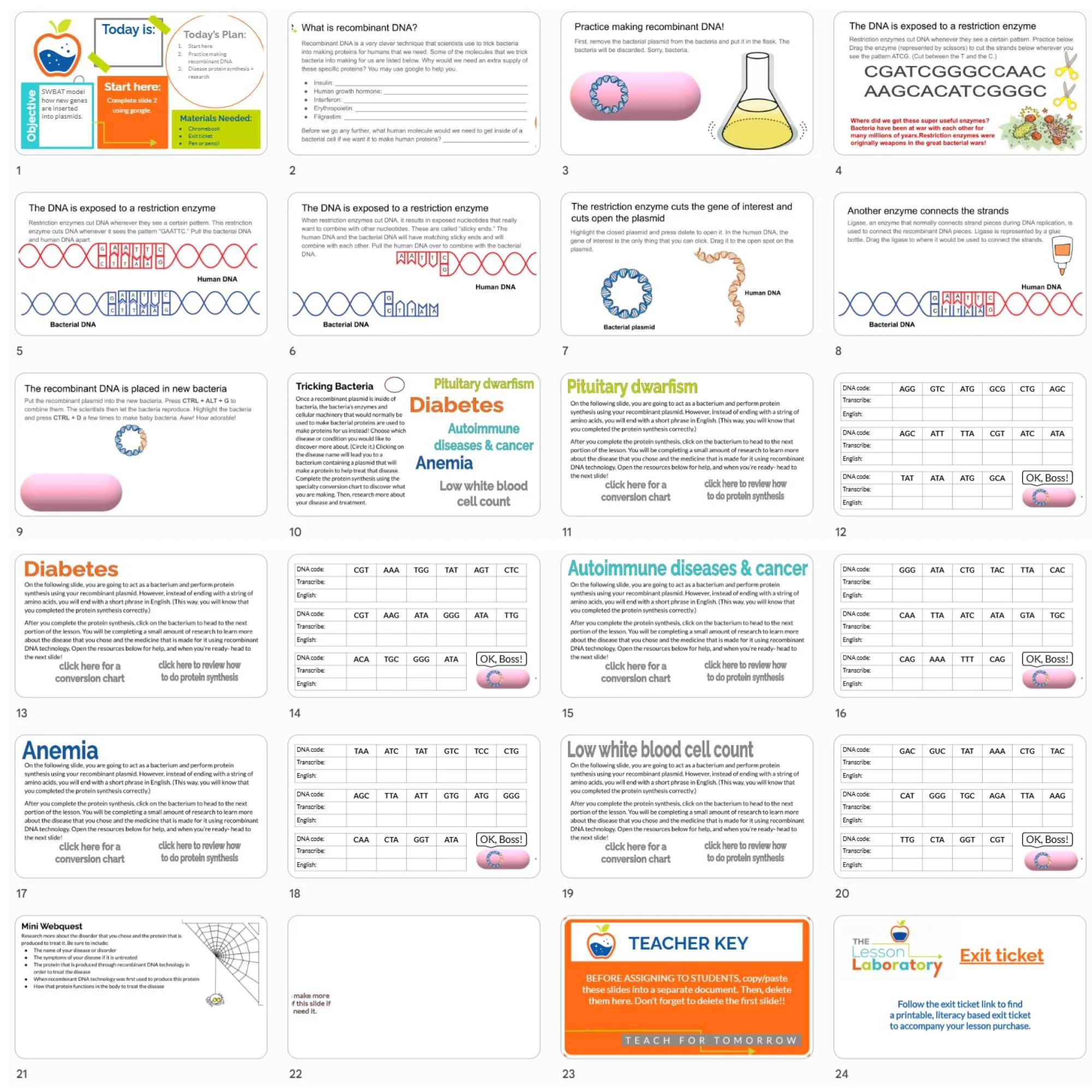 CORRECT Lesson Icons (1).jpg