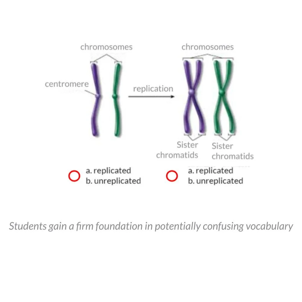 New Lesson Icons in Process (1).jpg
