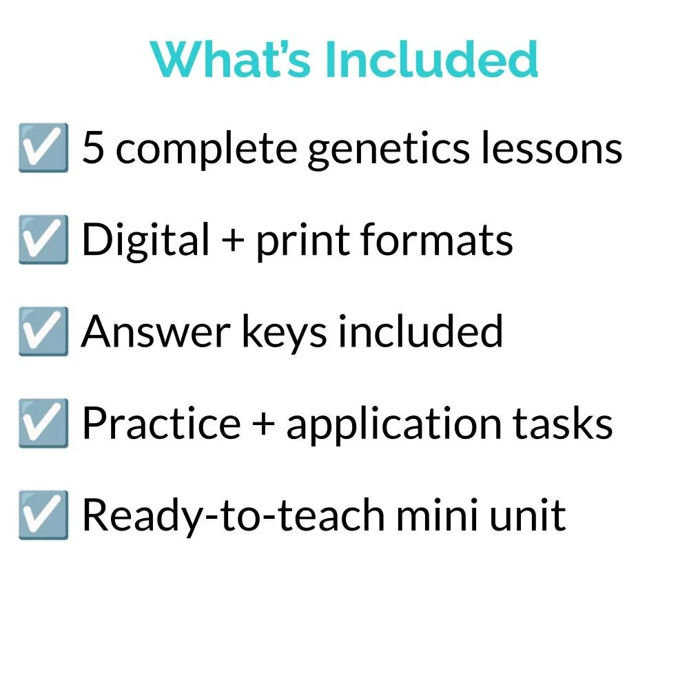 Bundle Icons (2).jpg